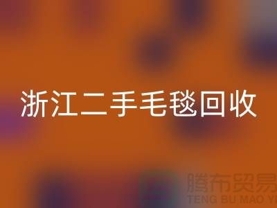 二手毛毯回收，舊物新生的【浙江，上海，江蘇】綠色的庫存之旅