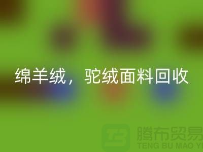 山羊絨回收，綿羊絨回收，駝絨面料回收——上海布料廠家的環保行動