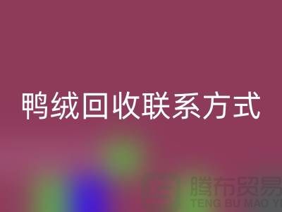 綠色未來從羽絨回收開始 — 掌握羽絨回收聯系方式，為地球獻出一份愛心