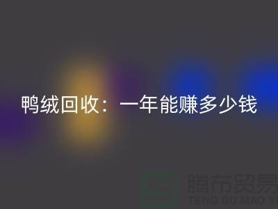鴨絨回收：一年掙多少錢？@上海羽絨回收聯系方式揭秘
