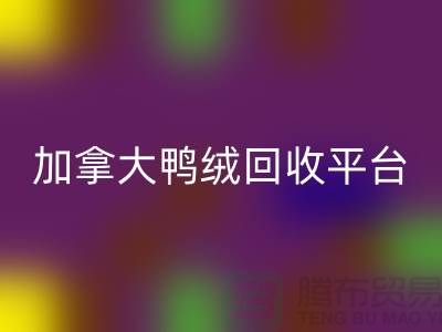 加拿大鴨絨回收平臺有哪些公司,優勢有哪些