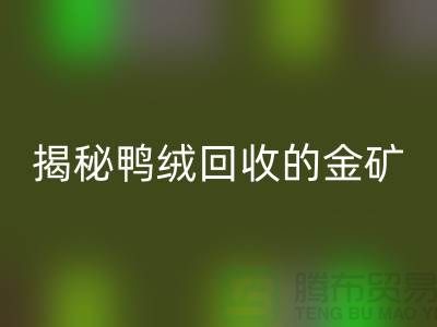 揭秘鴨絨回收的金礦，一年能掙多少錢？上海羽絨回收廠家