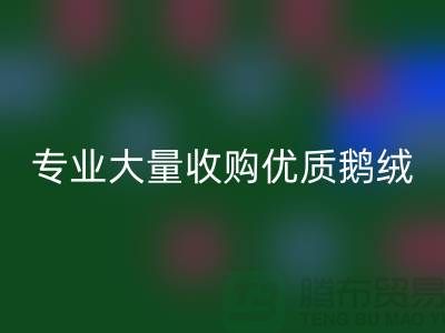 專業羽絨回收：大量收購優質鵝絨與鴨絨@上海騰布貿易公司