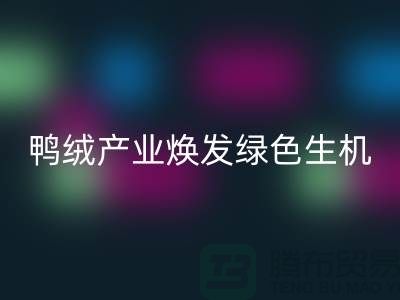 **標(biāo)題：新國(guó)標(biāo)引領(lǐng)下，杭州鴨絨產(chǎn)業(yè)煥發(fā)綠色生機(jī)**