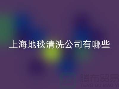 1738300336885217.png 160487377630c5adeb5e9d64cfc31a55_1.png