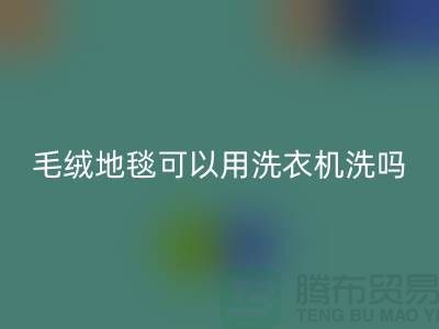 <<毛絨地毯可以用洗衣機(jī)洗嗎>>