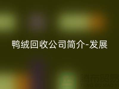 鴨絨回收公司簡介-發(fā)展背景-業(yè)務范圍-技術優(yōu)勢-鵝絨回收廠家