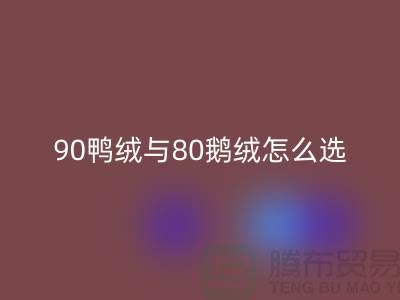90鴨絨與80鵝絨怎么選好？一篇文章為你解惑！上海騰布貿(mào)易