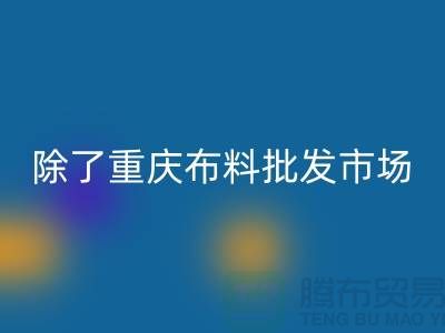 除了重慶布料批發市場是專業的，還有哪些批發市場可以選擇