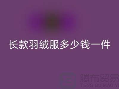 波司登長款羽絨服多少錢一件