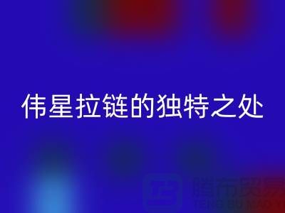 偉星拉鏈的獨特之處>>>>打造個性與時尚的完美融合