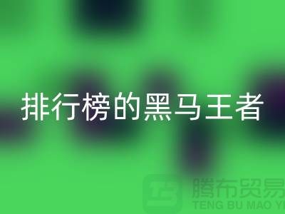 探索拉鏈品牌排行榜的黑馬與王者