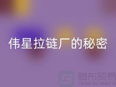 偉星拉鏈的秘密:揭開成功品牌背后的故事