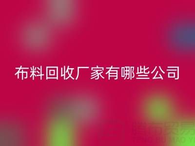廣東比較知名的靠譜二手布料回收廠家有哪些公司