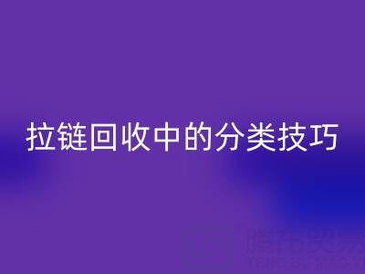 拉鏈回收中的分類技巧:提高回收效率的秘訣