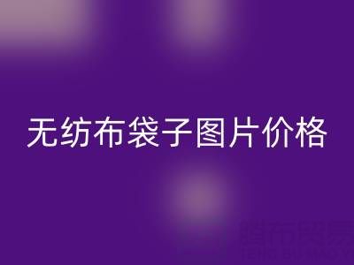 無(wú)紡布袋子生產(chǎn)廠家:如何高效獲取產(chǎn)品圖片與價(jià)格指南