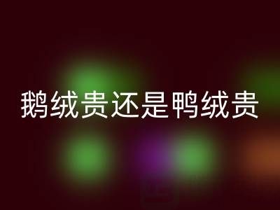 鵝絨貴還是鴨絨貴?鵝絨和鴨絨選購(gòu)建議大揭秘!