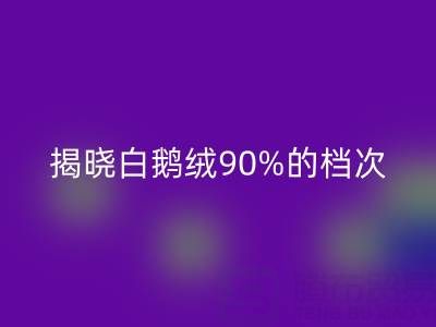 揭秘白鵝絨90%的檔次與價(jià)值,探尋杭州羽絨回收奧秘