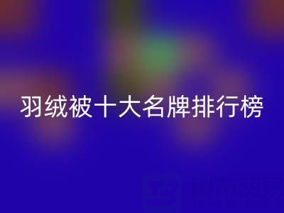 中國(guó)羽絨被十大名牌排行榜:權(quán)威盤(pán)點(diǎn)與選購(gòu)指南