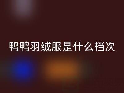 鴨鴨羽絨服是什么檔次的牌子？價格貴嗎？