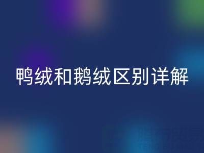 鴨絨和鵝絨區(qū)別詳解及羽絨收購(gòu)資源指南